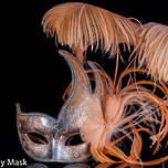 Venetian Masquerade Feather Mask Colombina Ciuffo Cigno Silver Peach 2
